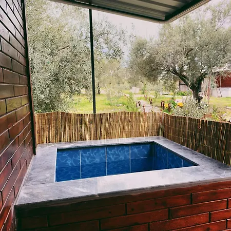 Bed & Breakfast Alpinia Houses&garden